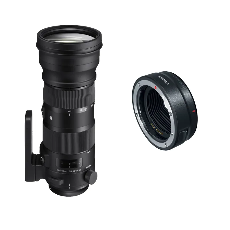 Sigma 150-600mm F5-6.3 DG HSM OS C Lens - Canon EF with EOS R Adapter-4